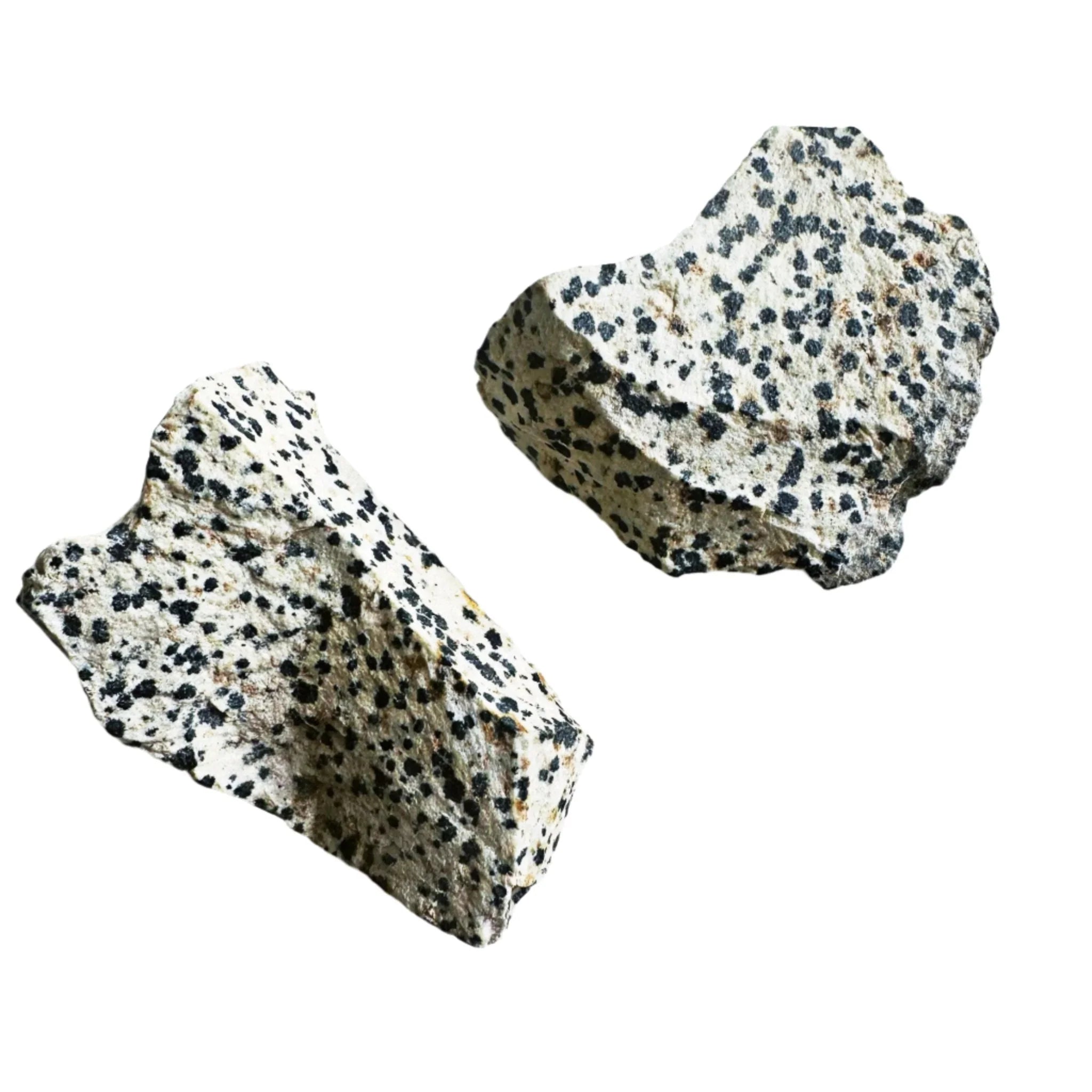 Dalmatian Jasper The Joyful Crystal of Playfulness Grounding and Inner Balance